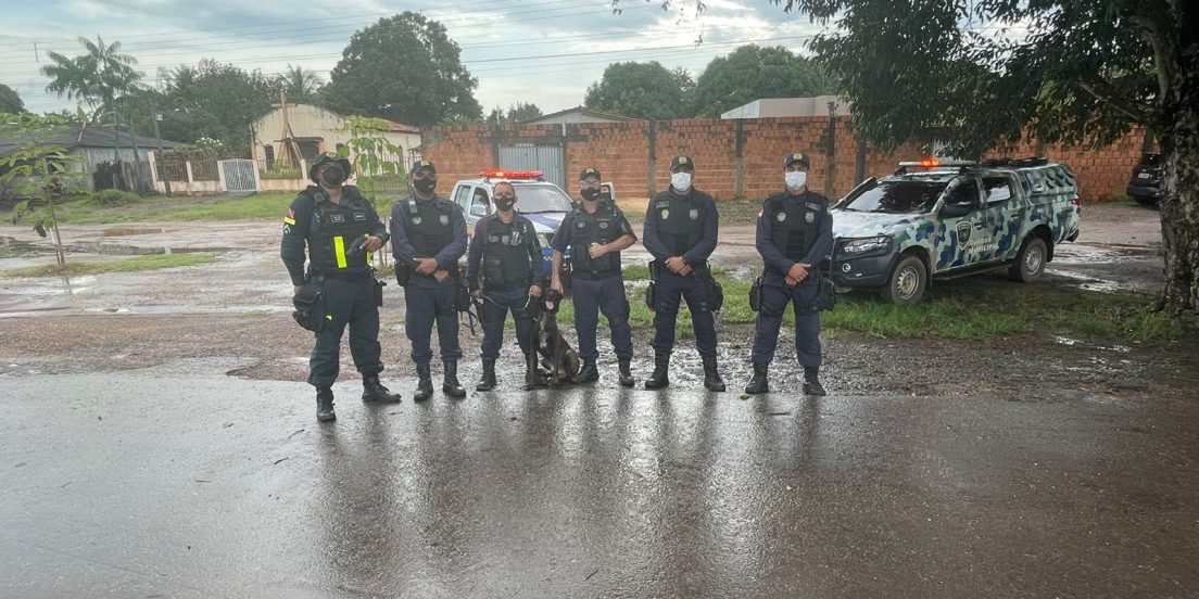 Cães farejadores atuam na apreensão de entorpecentes em Marabá