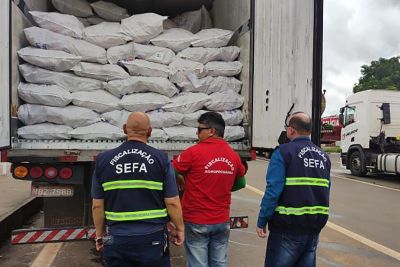Fiscalização apreende 30 toneladas de peixes no sudeste do Pará