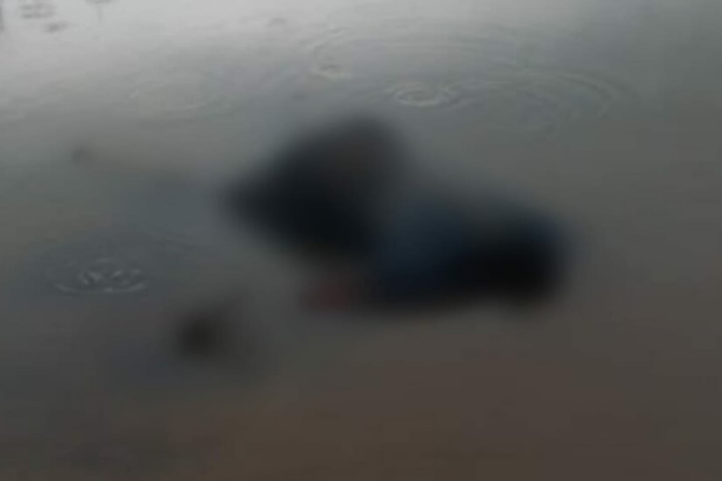 Corpo de garimpeiro é encontrado flutuando em rio no sudoeste do Pará