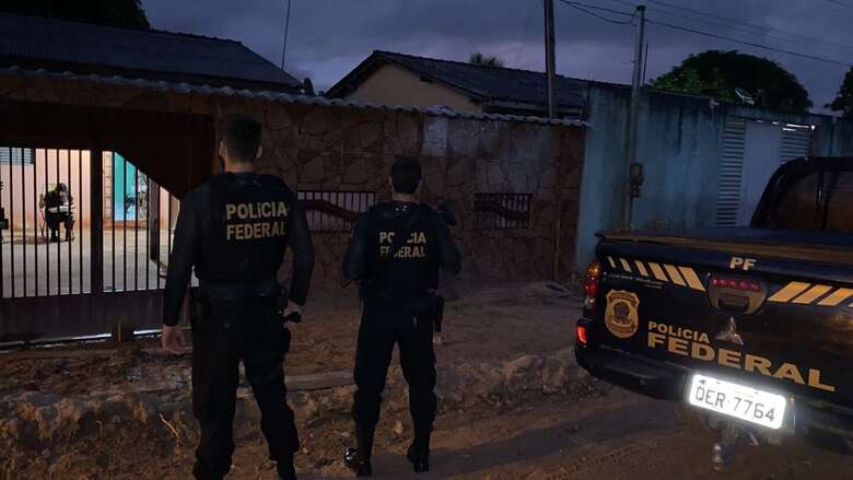 PF combate extração ilegal de madeira no oeste do Pará