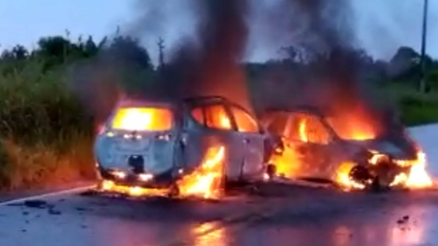 VÍDEO: Carros pegam fogo após colisão por causa de animal na BR-230