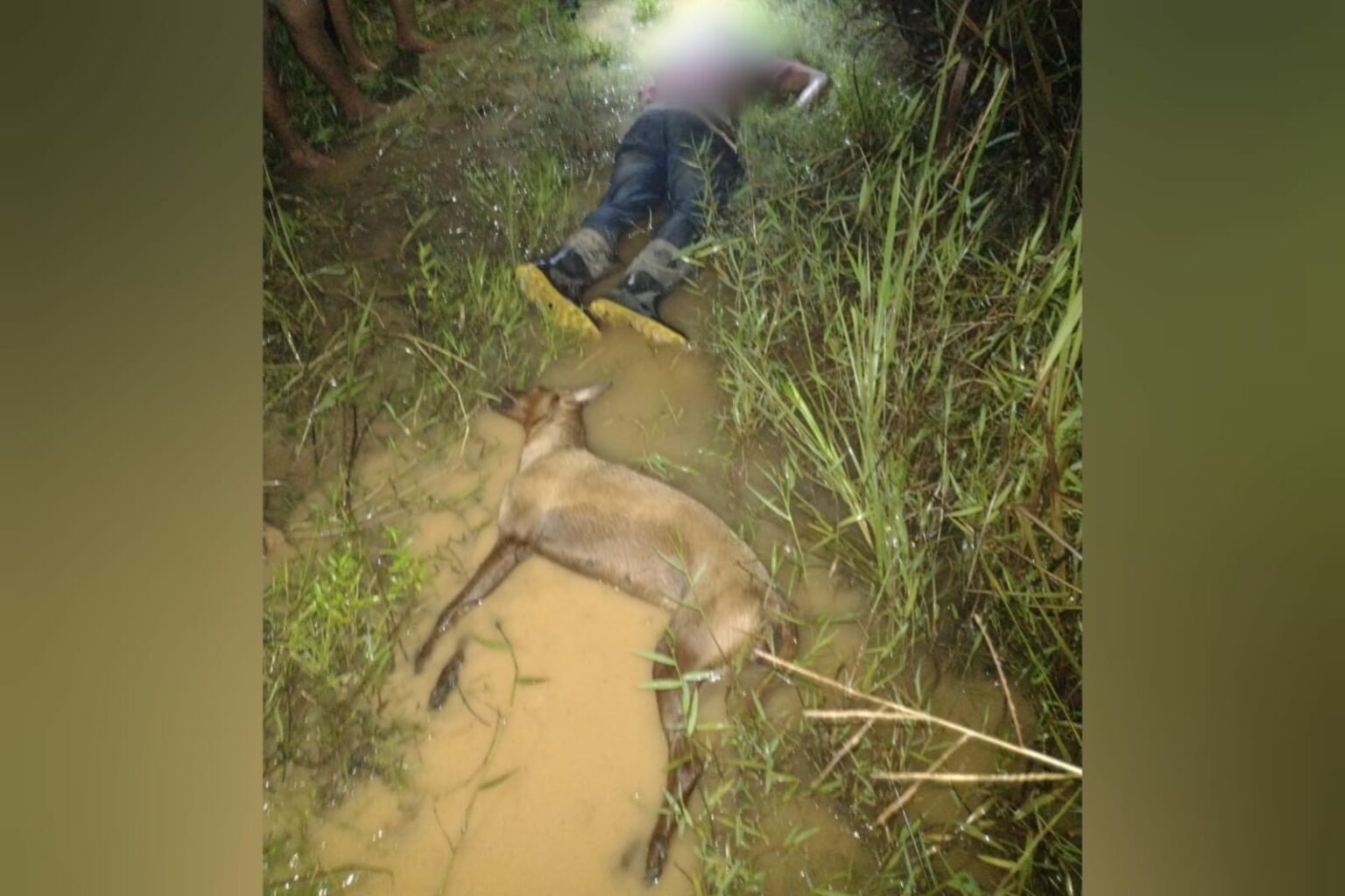 Homem e cadela morrem atingidos por raio na zona rural de Marabá