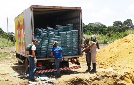 Fiscalização apreende mais de 2 mil ovos de granja no nordeste do Pará