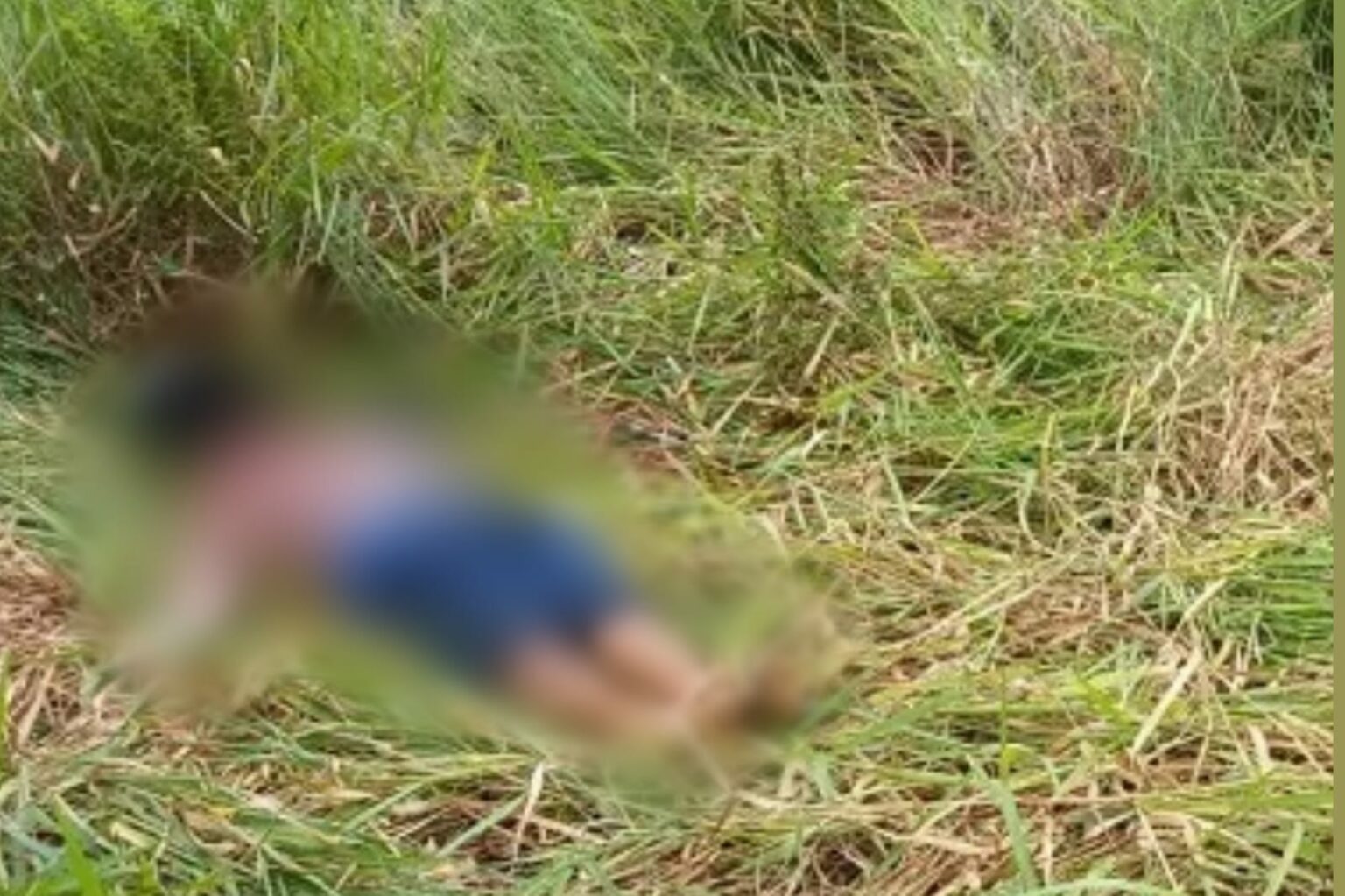 Corpo em estado de decomposição é encontrado no sudoeste do Pará