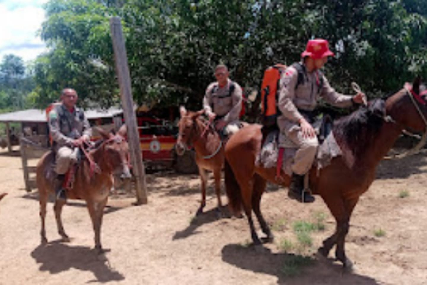 Homem desaparece em mata após sair para caçar no interior do Pará