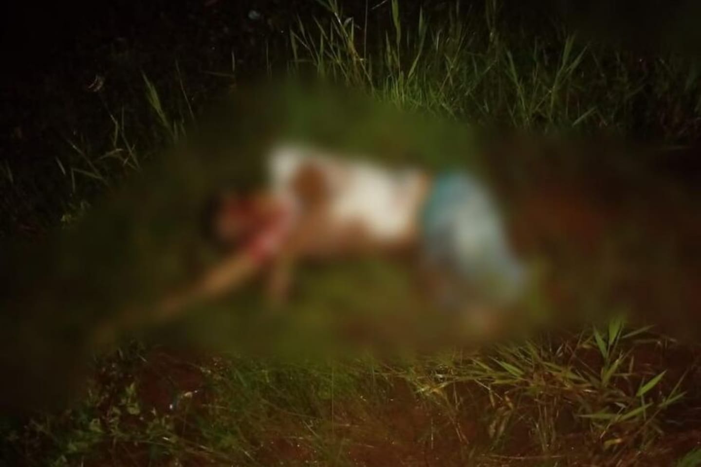 Homem é executado a tiros no Pará