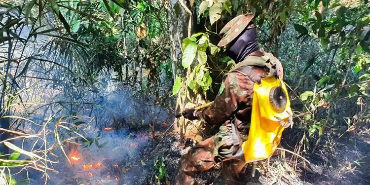 Quatro cidades do Pará estão entre as mais atingidas por incêndios florestais no Brasil