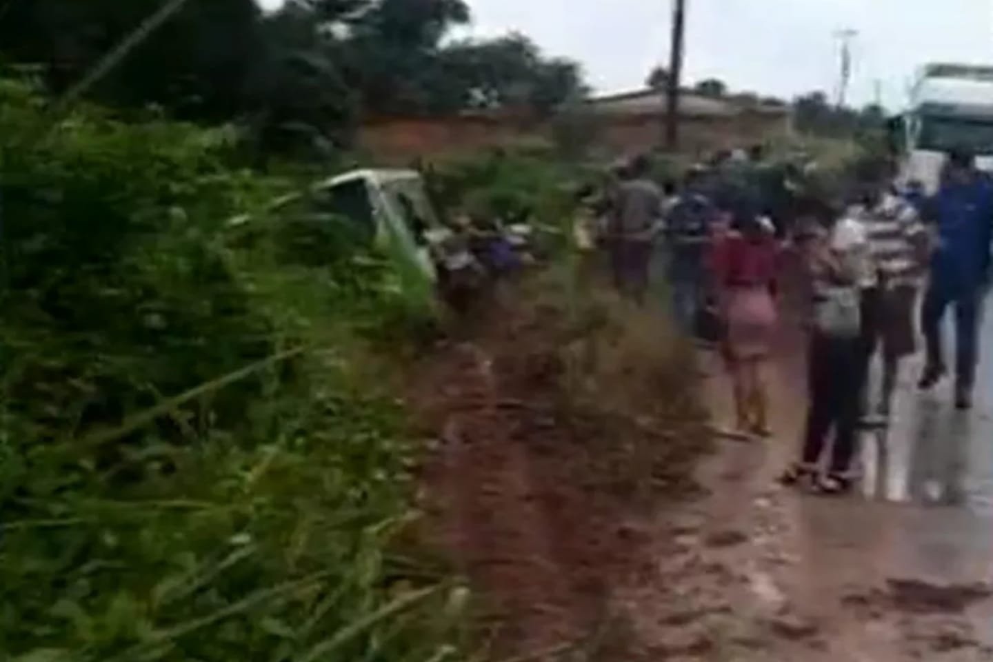 Ônibus sai da pista e entra em área de mata no interior do Pará