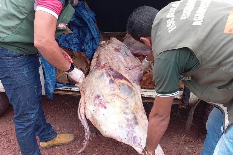 Fiscalização apreende mais de 400 quilos de carne sem refrigeração no Pará