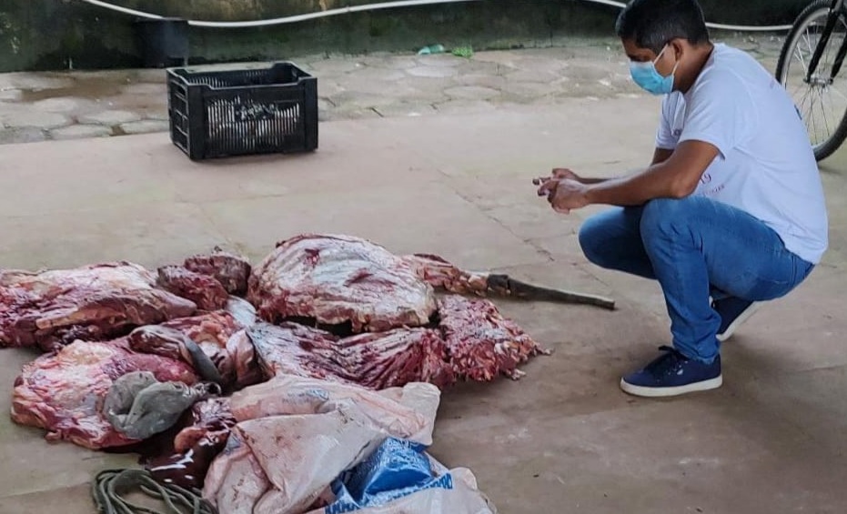 PM apreende 90 quilos de carne de búfalo furtado em fazendas do interior do Pará