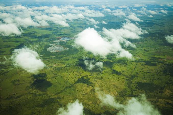 Pará apresenta redução no desmatamento de área equivalente a Belo Horizonte