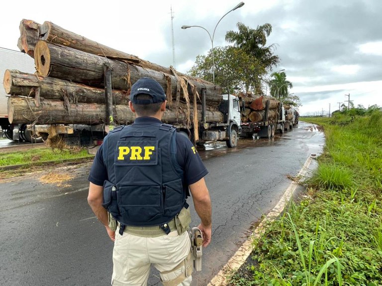 PRF prende cinco suspeitos de extração ilegal de madeira no interior do Pará
