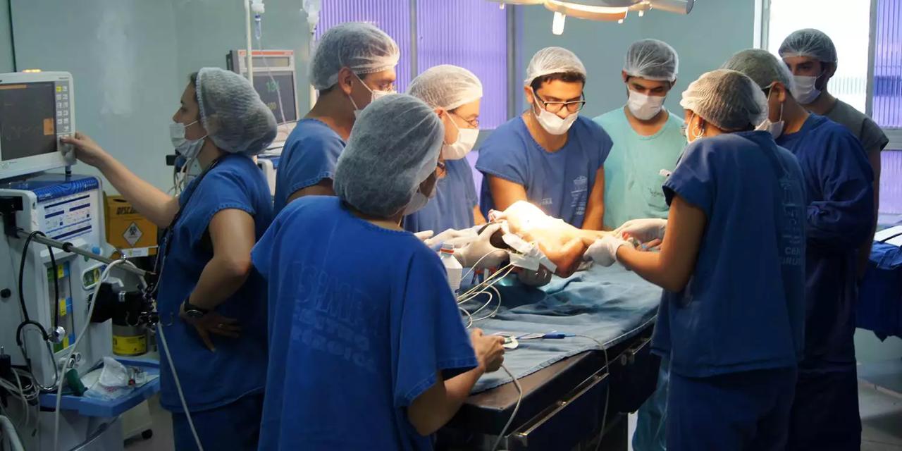 Menino nasce com dois pênis e passa por cirurgia para retirar o maior