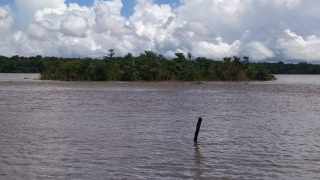 VÍDEO: Ilha se solta da terra e ‘navega’ em rio do interior do Pará