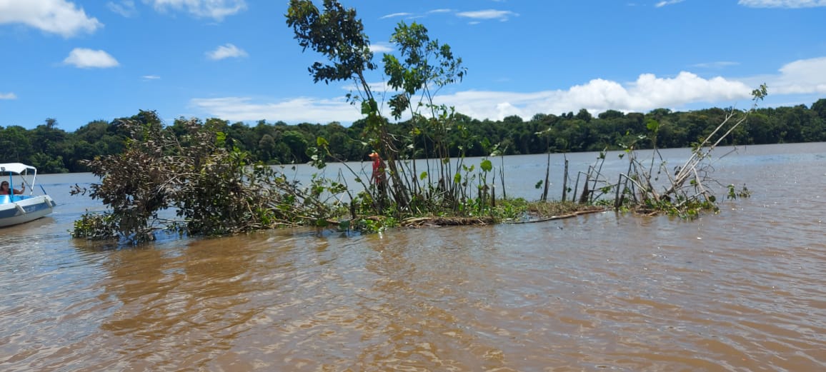 VÍDEOS: Nova ilha se solta da terra e ‘navega’ em rio do interior do Pará