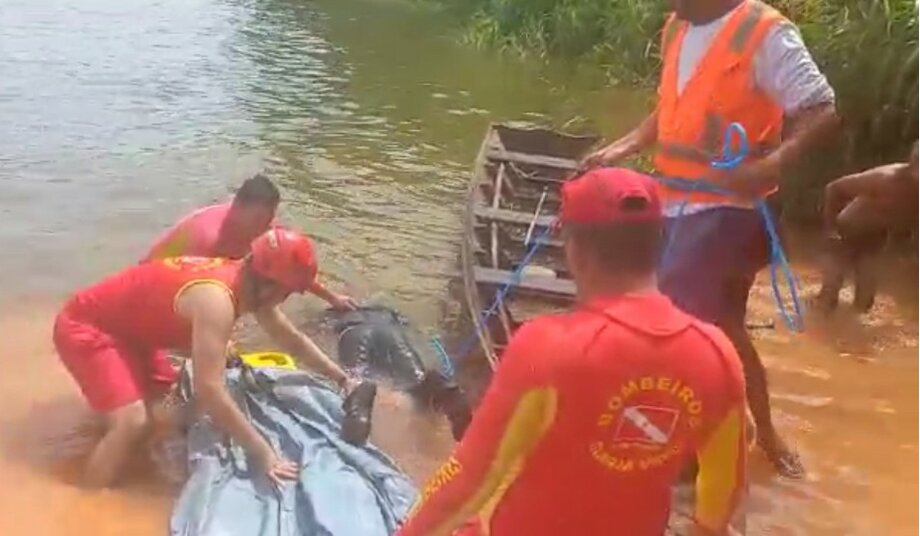 BR-230: Bombeiros resgatam corpo masculino no Rio Tapajós