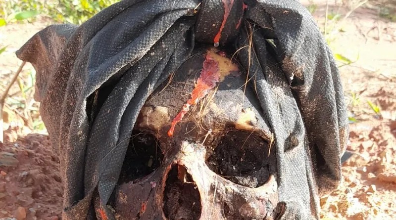 Moradores encontram crânio humano, usado em ritual macabro, no interior do Pará