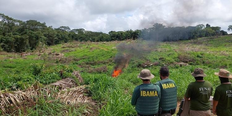 Operação prende dois homens que desmatavam reserva indígena no sul do Pará
