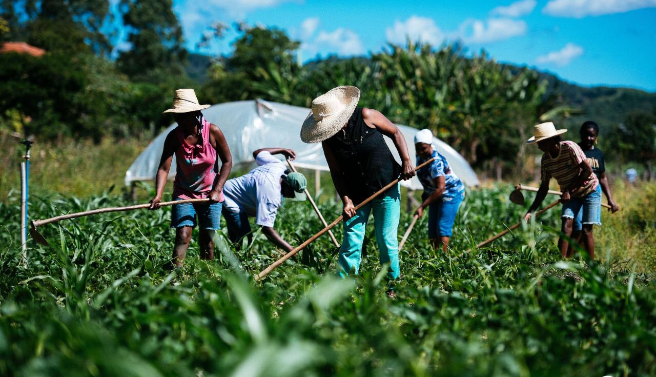 Mais de 20 famílias de Marabá acessam linha de crédito para agricultura familiar