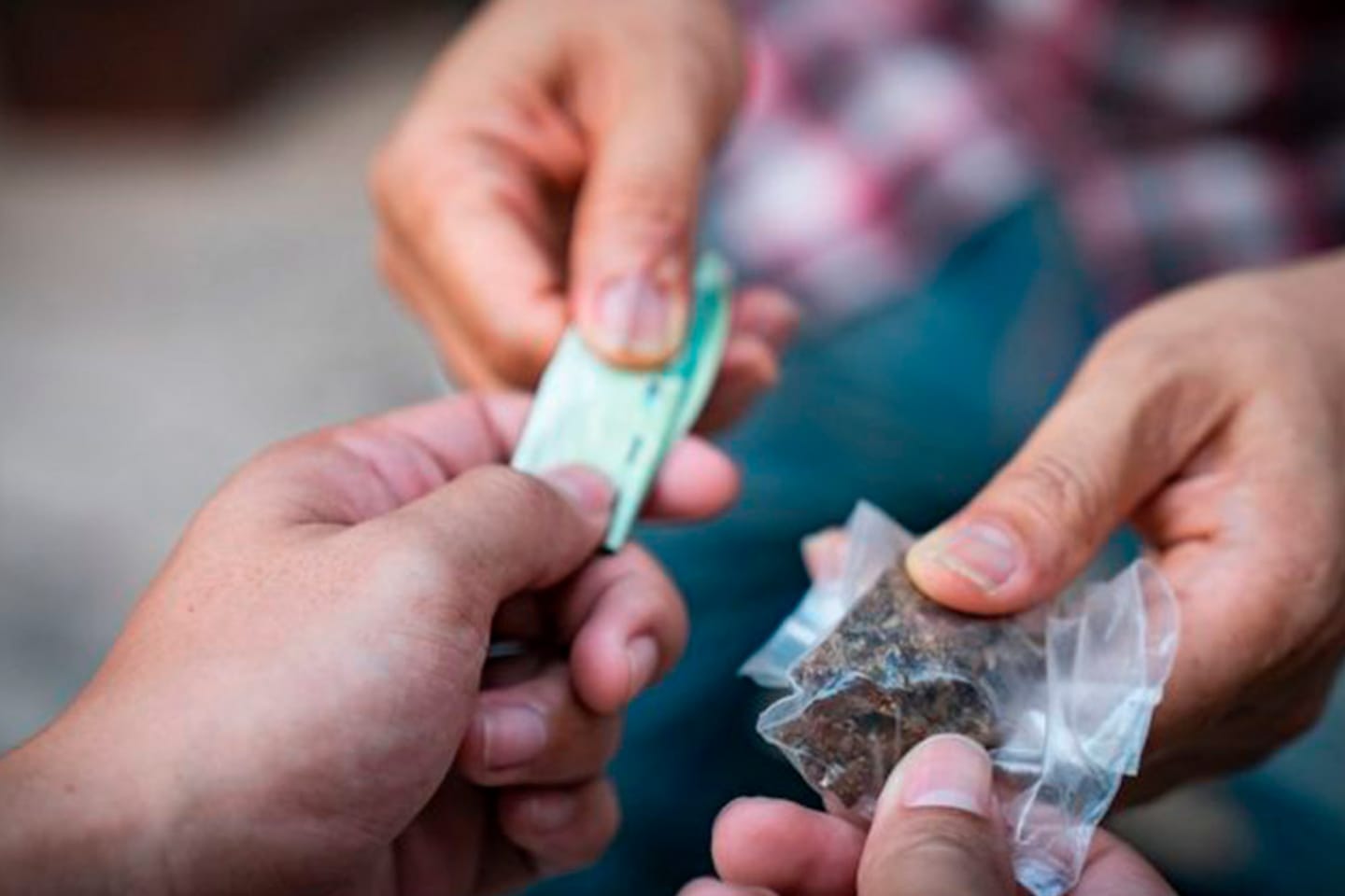 Prisões por tráfico e porte de drogas são registradas no oeste do Pará