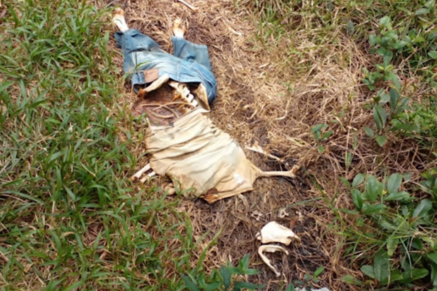 Ossada humana é encontrada no sudeste do Pará