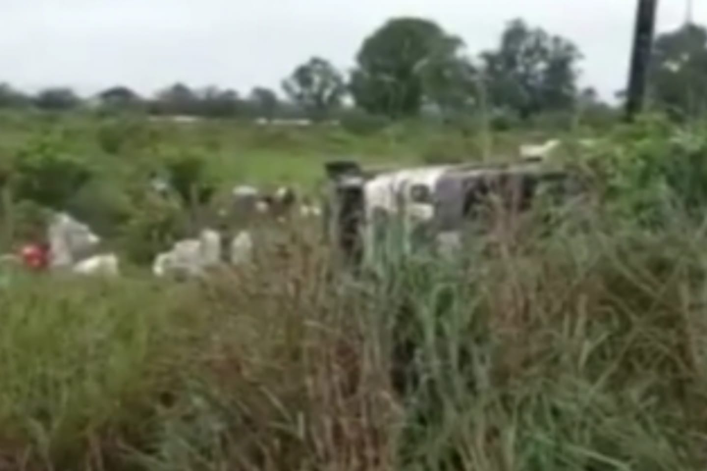 Carreta carregada de grãos tomba no nordeste do Pará