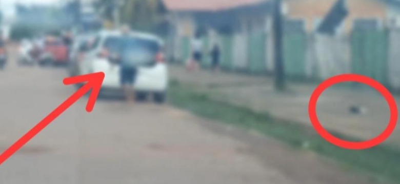 Idoso joga gato morto em calçada no sudoeste do Pará