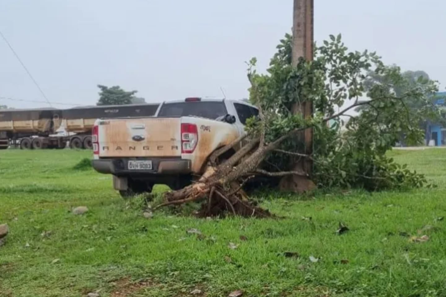 Motorista perde controle de caminhonete e colide contra árvore no Pará