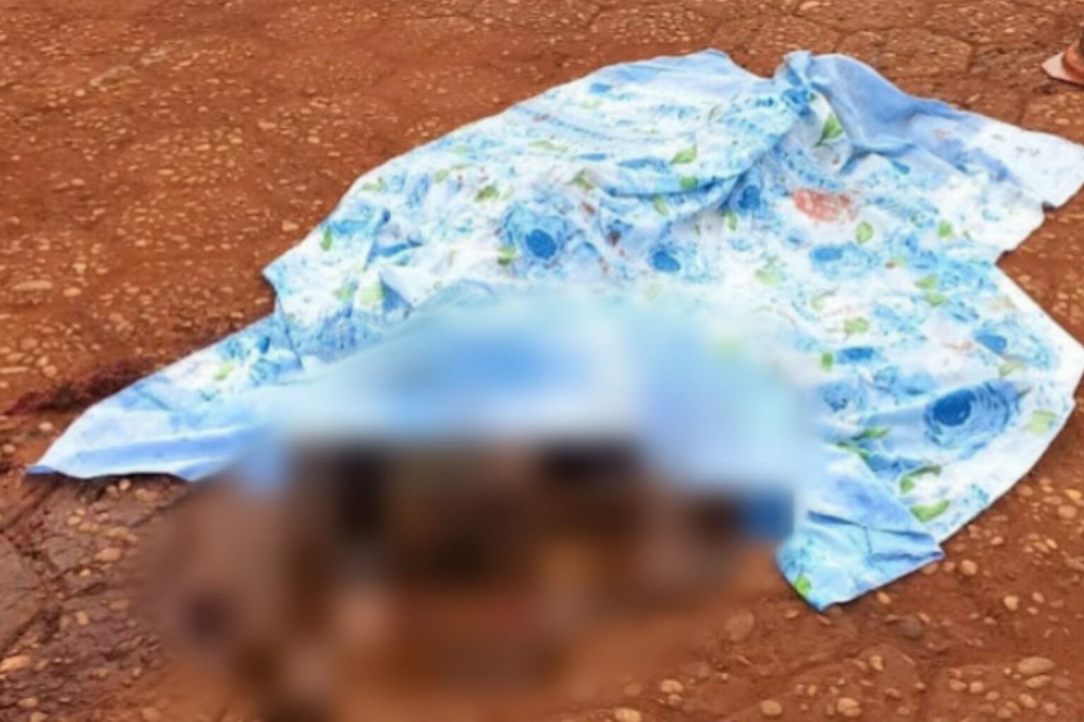 Carreta esmaga homem no sudeste do Pará