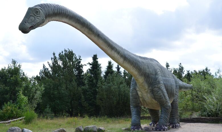Pesquisadores encontram primeiro ninho de dinossauros no Brasil