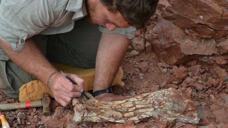 Antigo réptil voador “Dragão da Morte” é descoberto na Argentina
