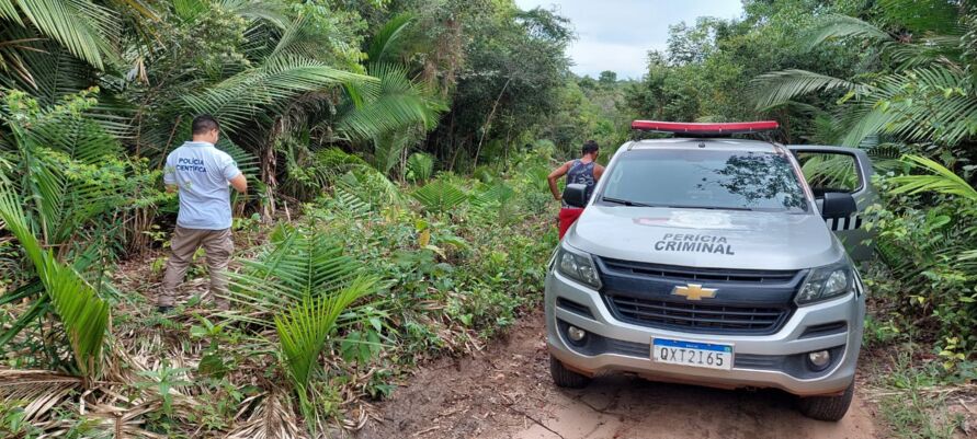 Ossada humana é encontrada em área de mata no interior do Pará