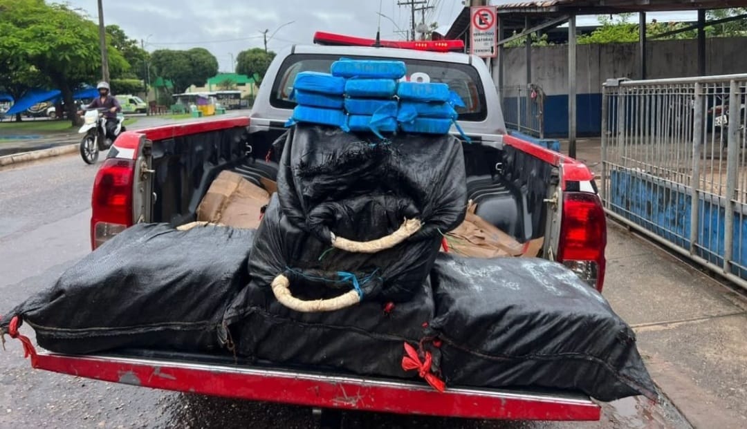 Polícia apreende 150 quilos de cocaína em Cametá