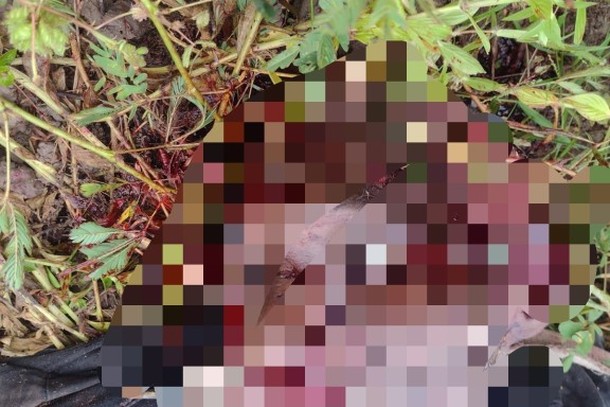 ‘Surdinho’ é morto morto a cacetadas no sudeste do Pará