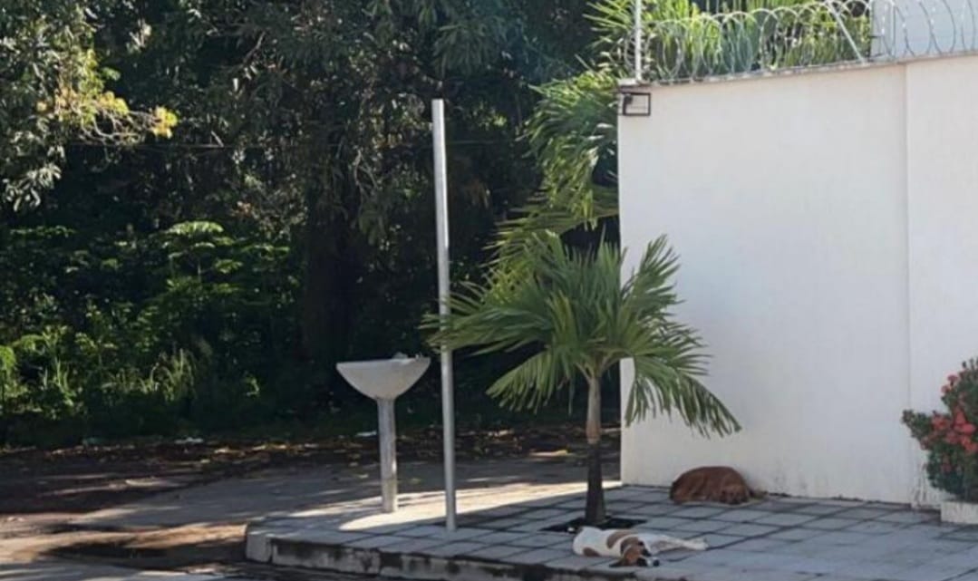 VÍDEO: Casal furta placa de trânsito em Marabá