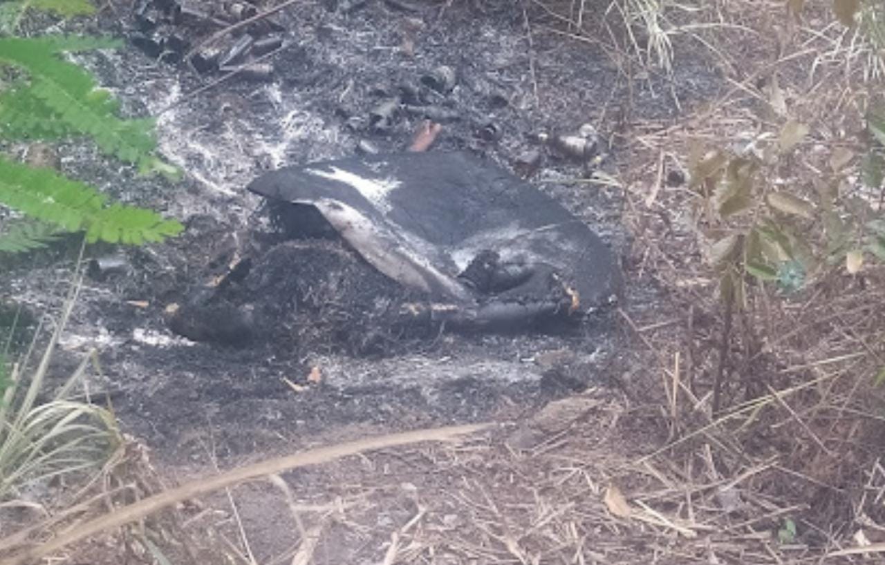 Corpo humano é encontrado carbonizado em Parauapebas
