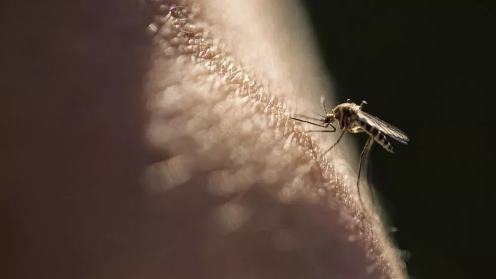 Pará realiza ação de conscientização de combate à malária