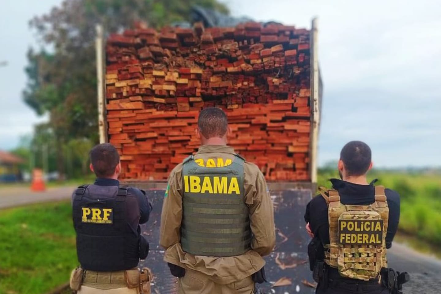 PRF, PF e Ibama apreendem mais de 57 m³ de madeira ilegal no Pará