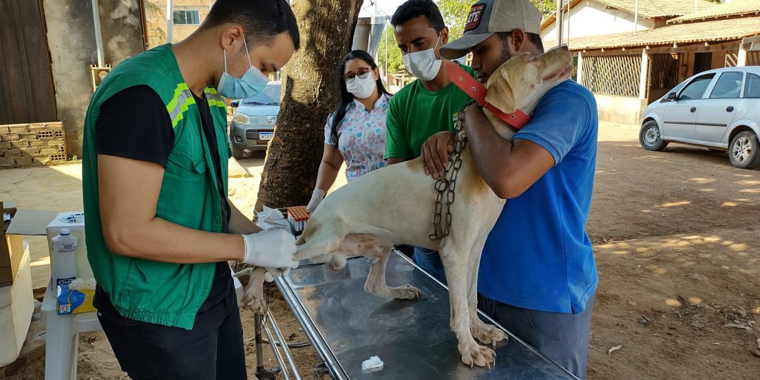 Prefeitura oferece vacinação e exames gratuitos para pets em Marabá