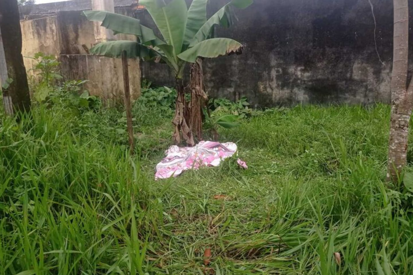 Corpo de homem desaparecido é encontrado em terreno baldio no Pará