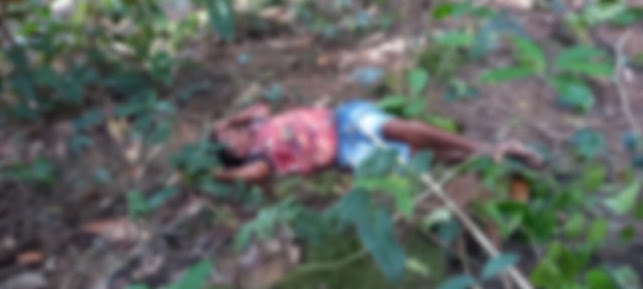 Homem é executado com tiros na cabeça em área de mata no Pará