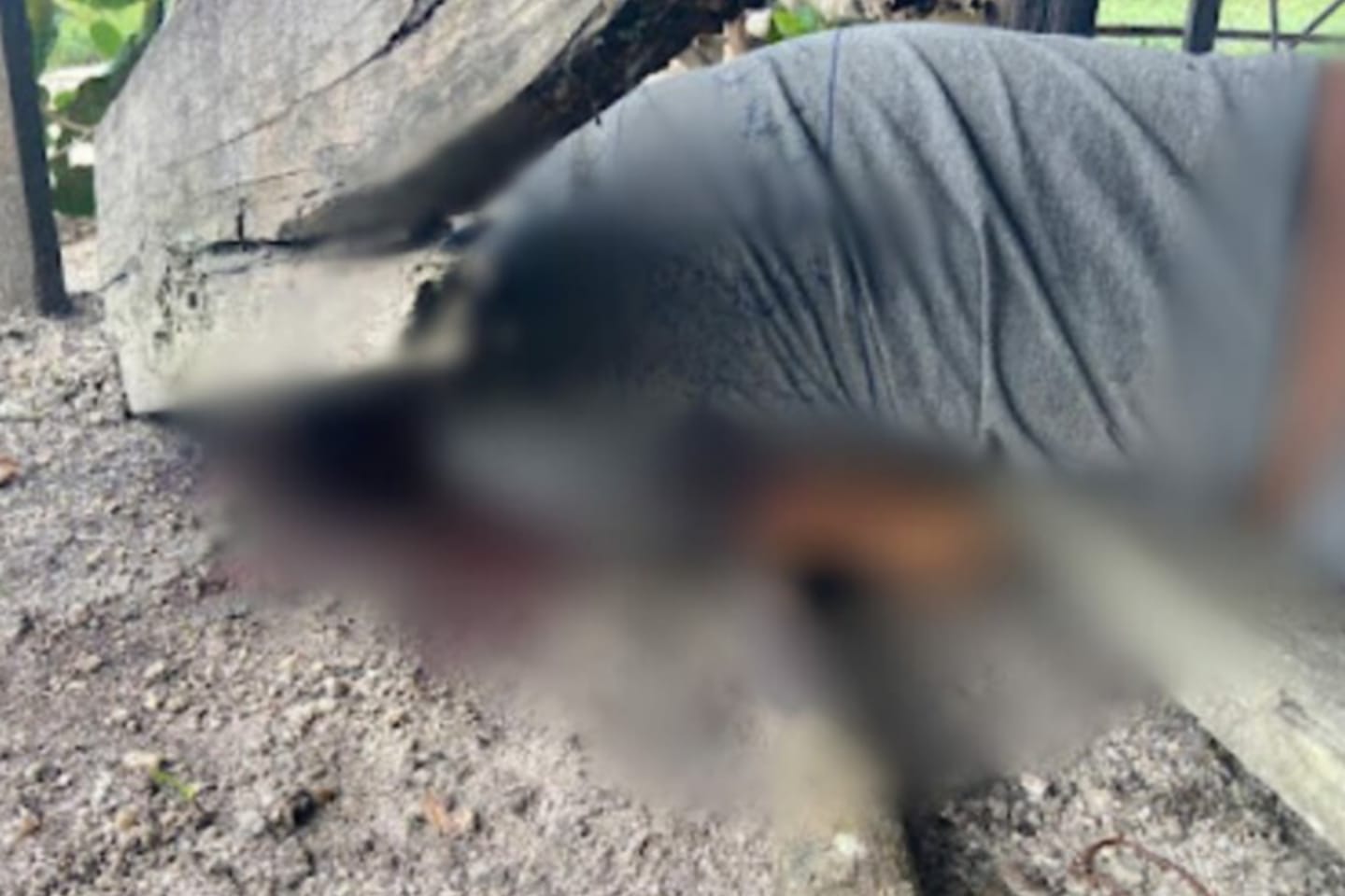 Homem é assassinado a tiros em região garimpeira no Pará