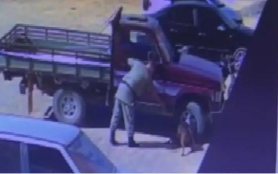 PM atira e mata Pitbull durante ataque em estacionamento