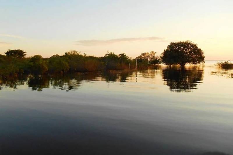 Planetário do Pará divulga lista de vencedores do Concurso Ciência e Arte