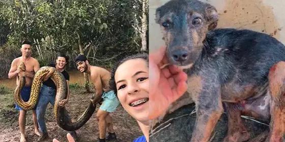 VÍDEO: Sucuri gigante quase engole cachorro em Marabá