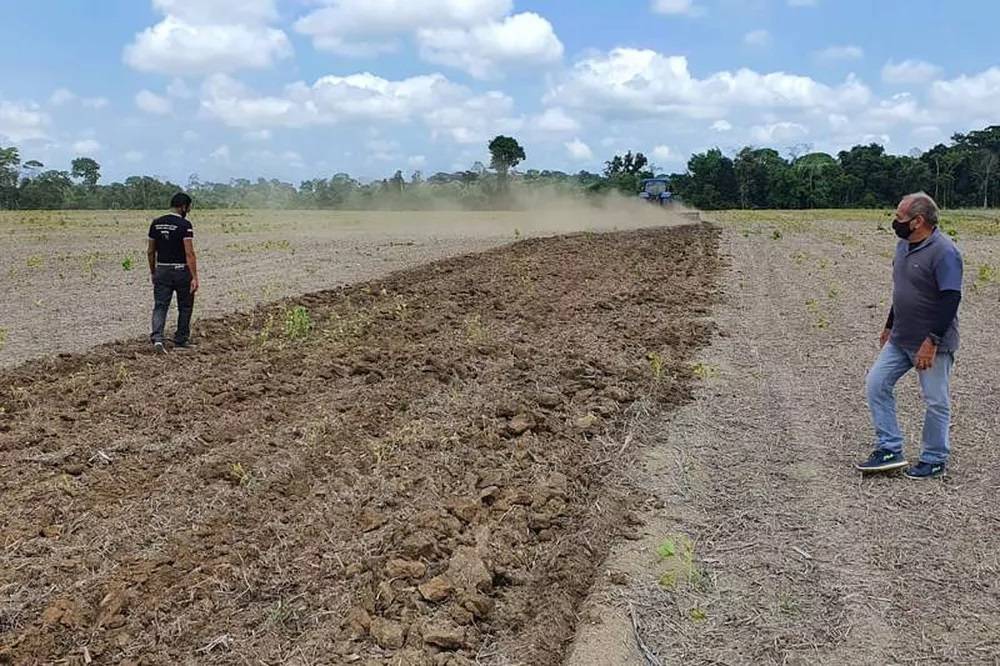 Vazio sanitário da soja vai até 15 de setembro em Marabá