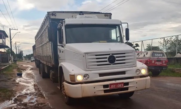 Neto planeja roubo de 60 cabeças de gado dos avós no nordeste do Pará