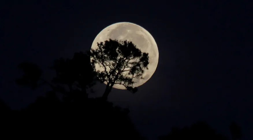 Primeira ‘superlua’ do ano poderá ser vista em todo o Brasil