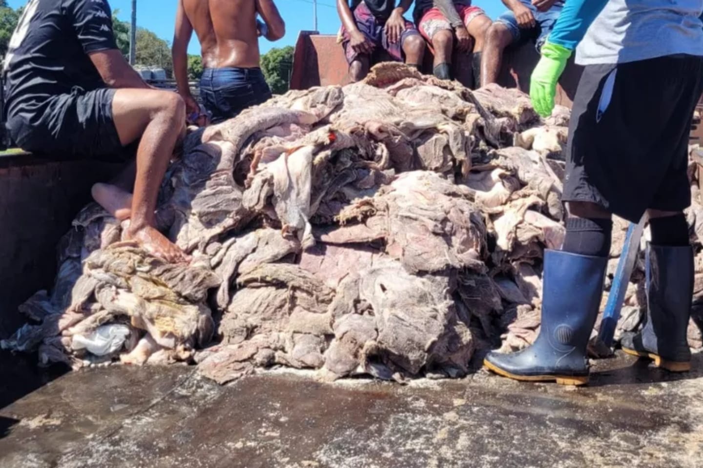 Polícia apreende três toneladas de carne clandestina no Pará