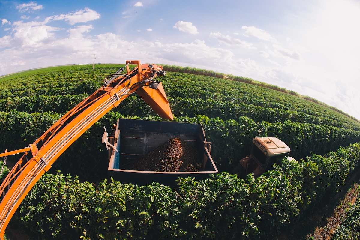 Brasil tem crescimento de mais de 40% em número de startups do agro